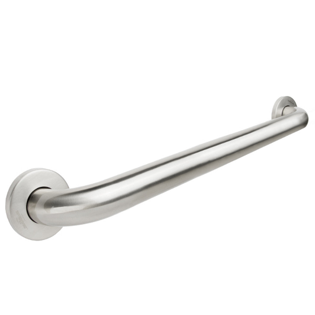 Stainless Steel Grab Bar - 30 Inch Straight Concealed Flange